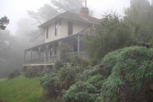 Pharmacist's House in the Fog